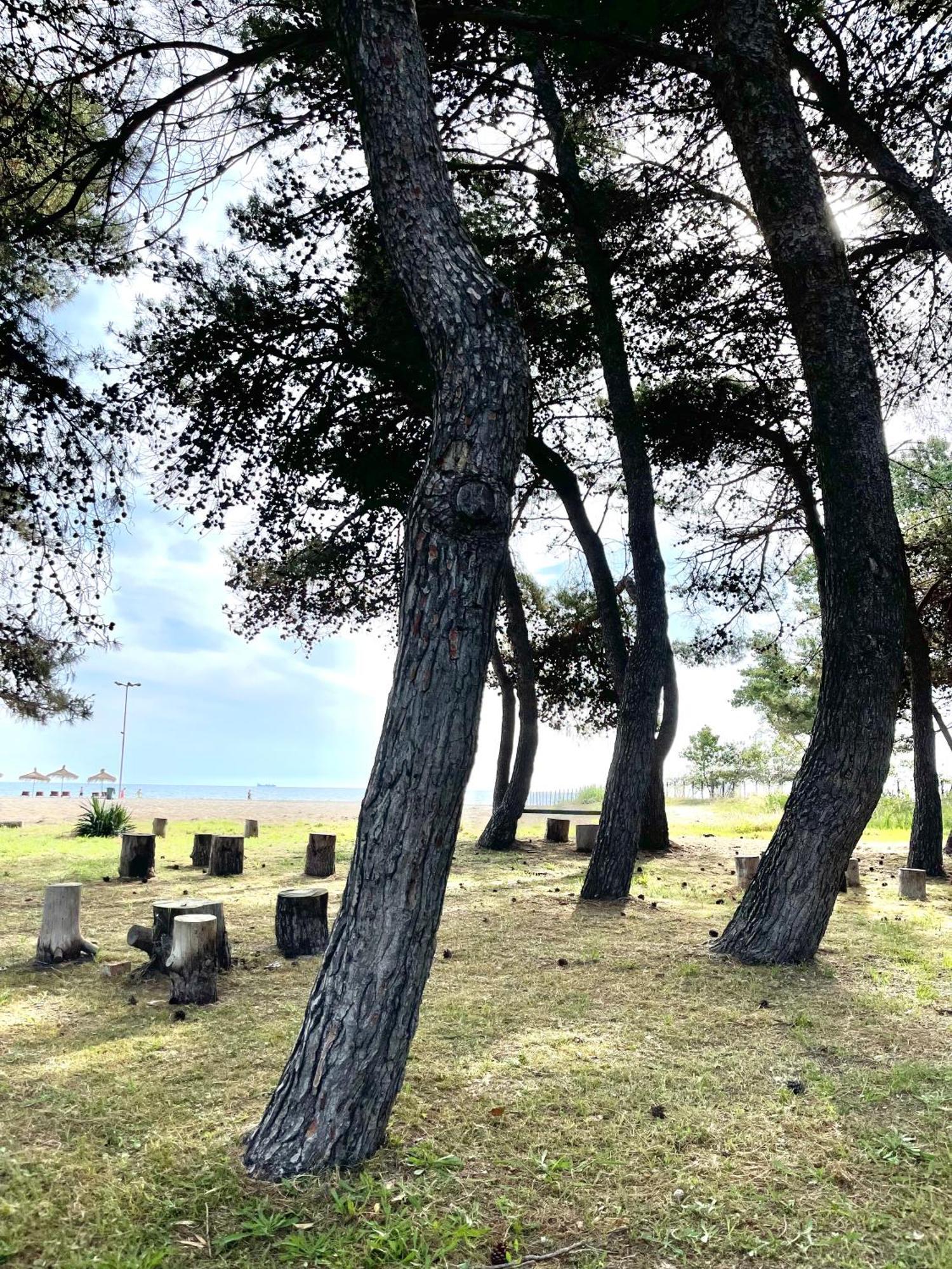 Brand New * Durrës